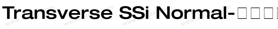 Transverse SSi Normal字体转换